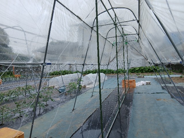 f:id:ttskhtss:20250527133105j:image f:id:ttskhtss:20250527133105j:image