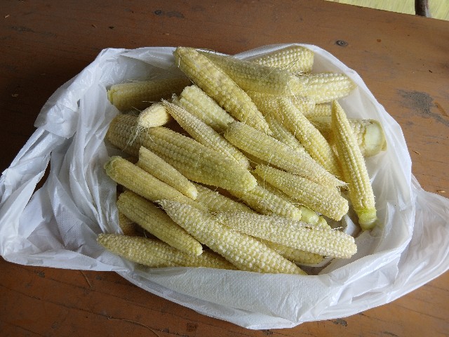 f:id:ttskhtss:20250620102758j:image