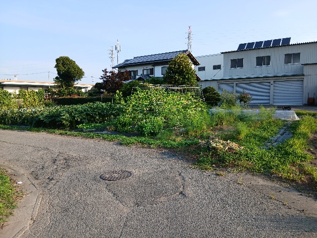f:id:ttskhtss:20250702043705j:image
