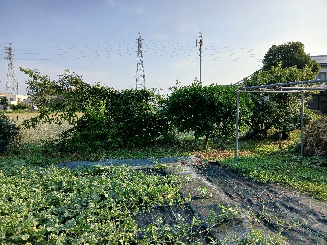 f:id:ttskhtss:20250702044900j:image