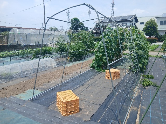 f:id:ttskhtss:20250704043407j:image
