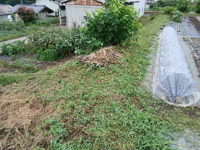 f:id:ttskhtss:20250713050628j:image