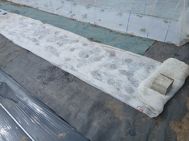 f:id:ttskhtss:20251015052919j:image