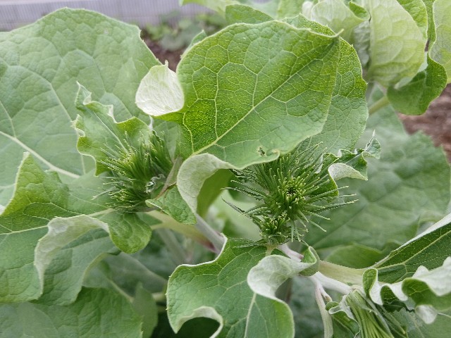 f:id:ttskhtss:20251016105233j:image