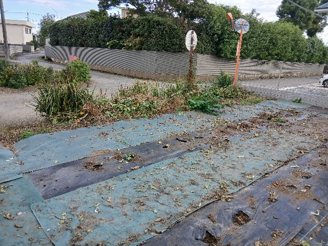 f:id:ttskhtss:20251020142158j:image