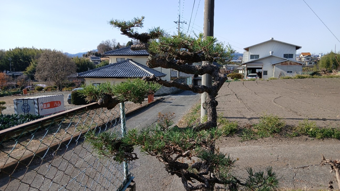 f:id:ttskhtss:20251214041925j:image