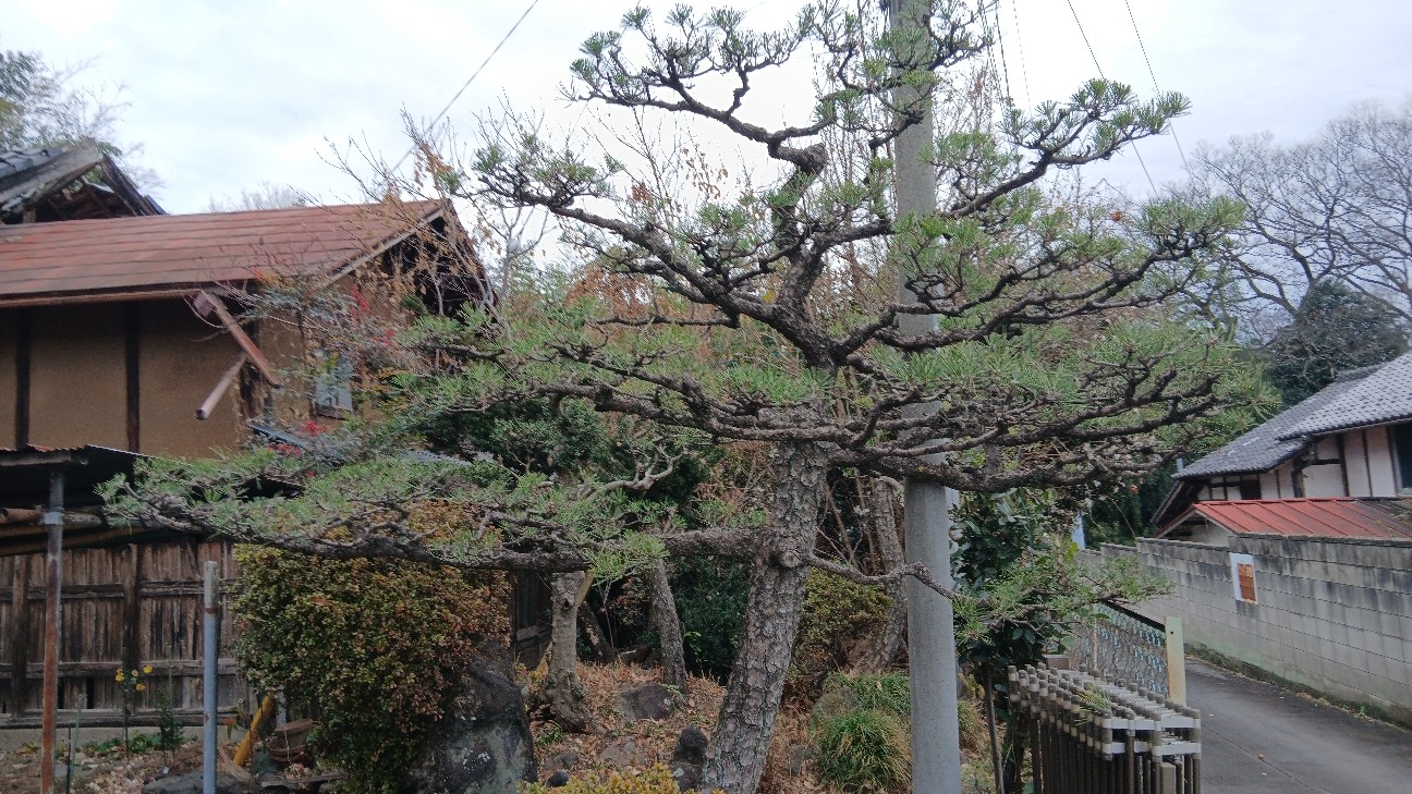 f:id:ttskhtss:20251221051550j:image