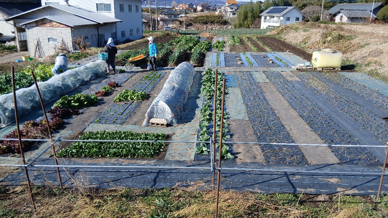 f:id:ttskhtss:20251228035919j:image f:id:ttskhtss:20251228035919j:image