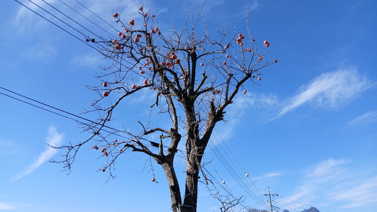 f:id:ttskhtss:20251228035930j:image f:id:ttskhtss:20251228035930j:image