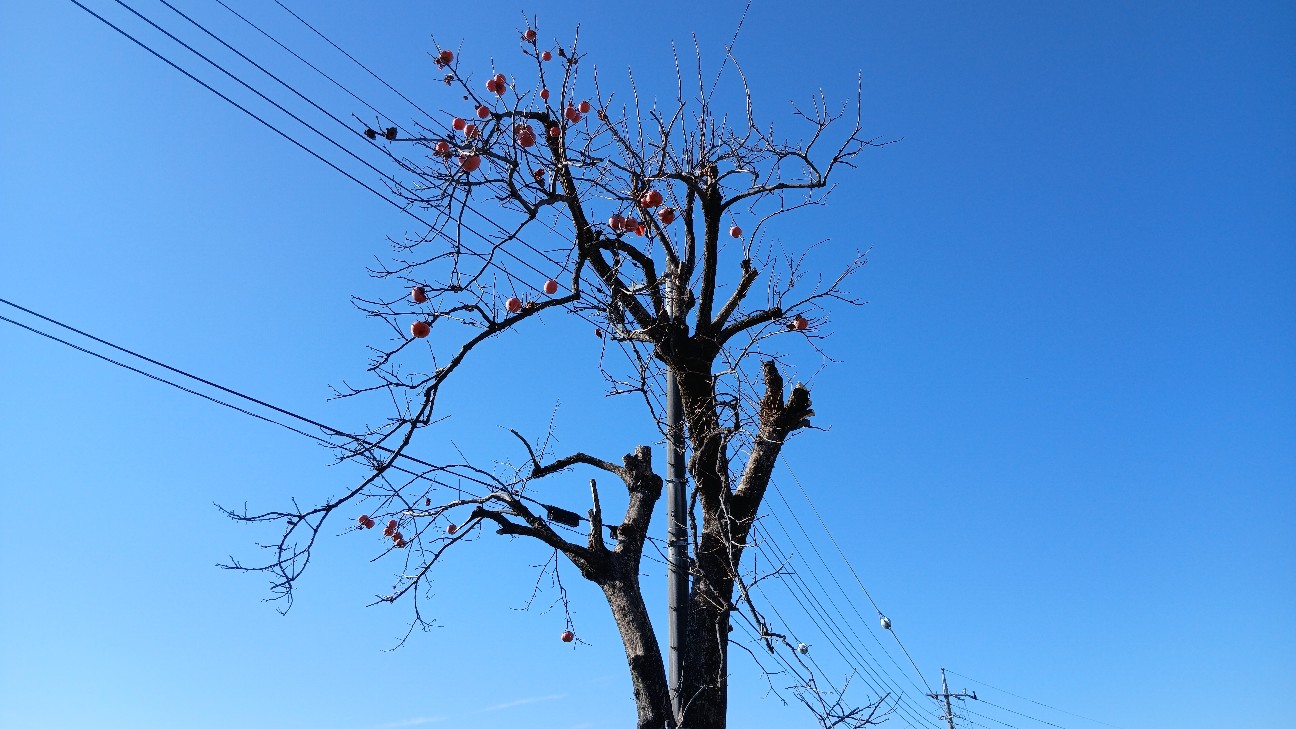 f:id:ttskhtss:20251228035942j:image f:id:ttskhtss:20251228035942j:image