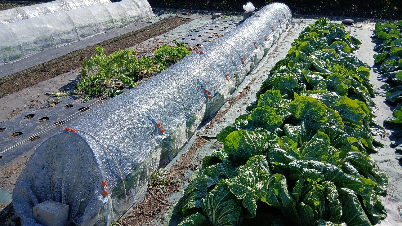 f:id:ttskhtss:20251229050022j:image f:id:ttskhtss:20251229050022j:image