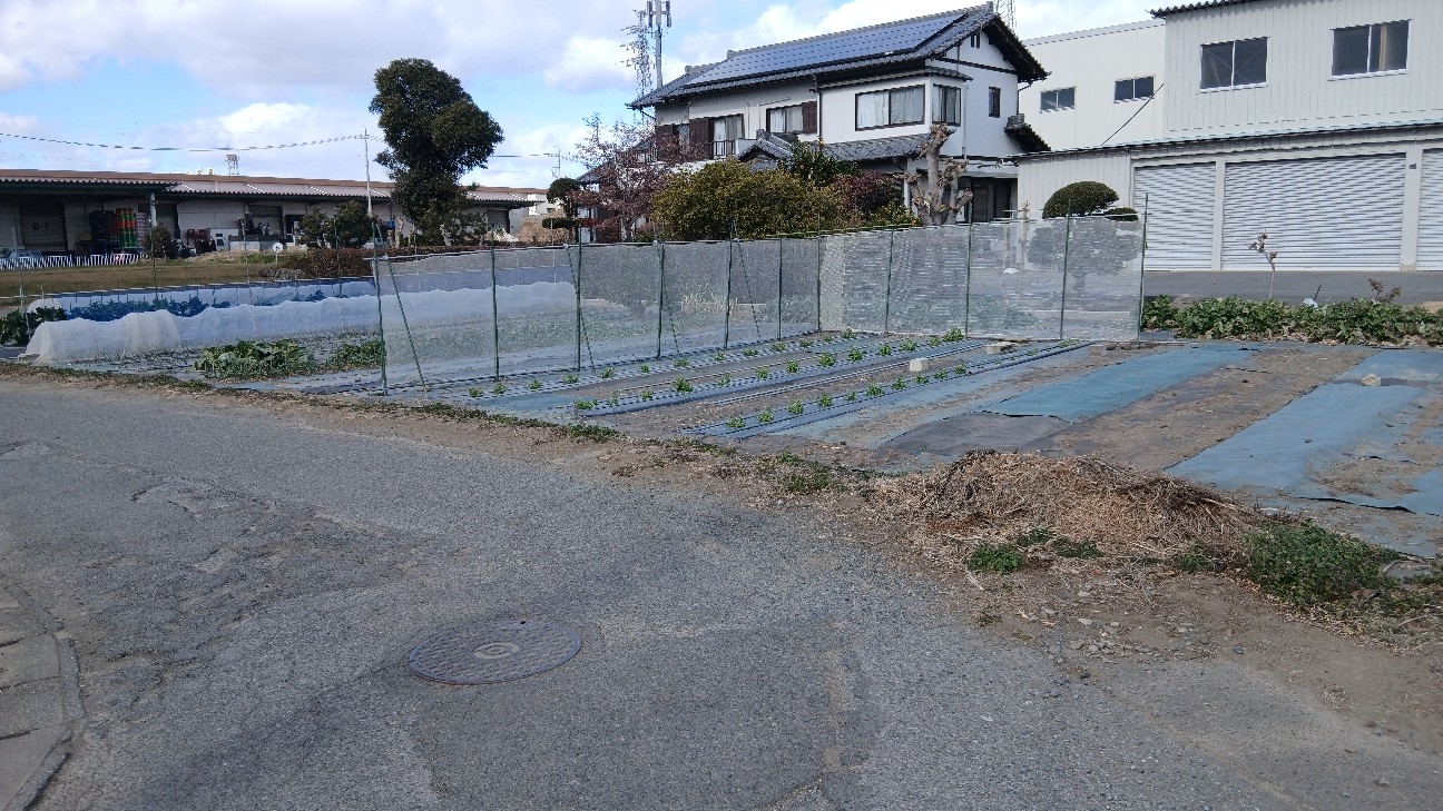 f:id:ttskhtss:20260125123310j:image f:id:ttskhtss:20260125123310j:image