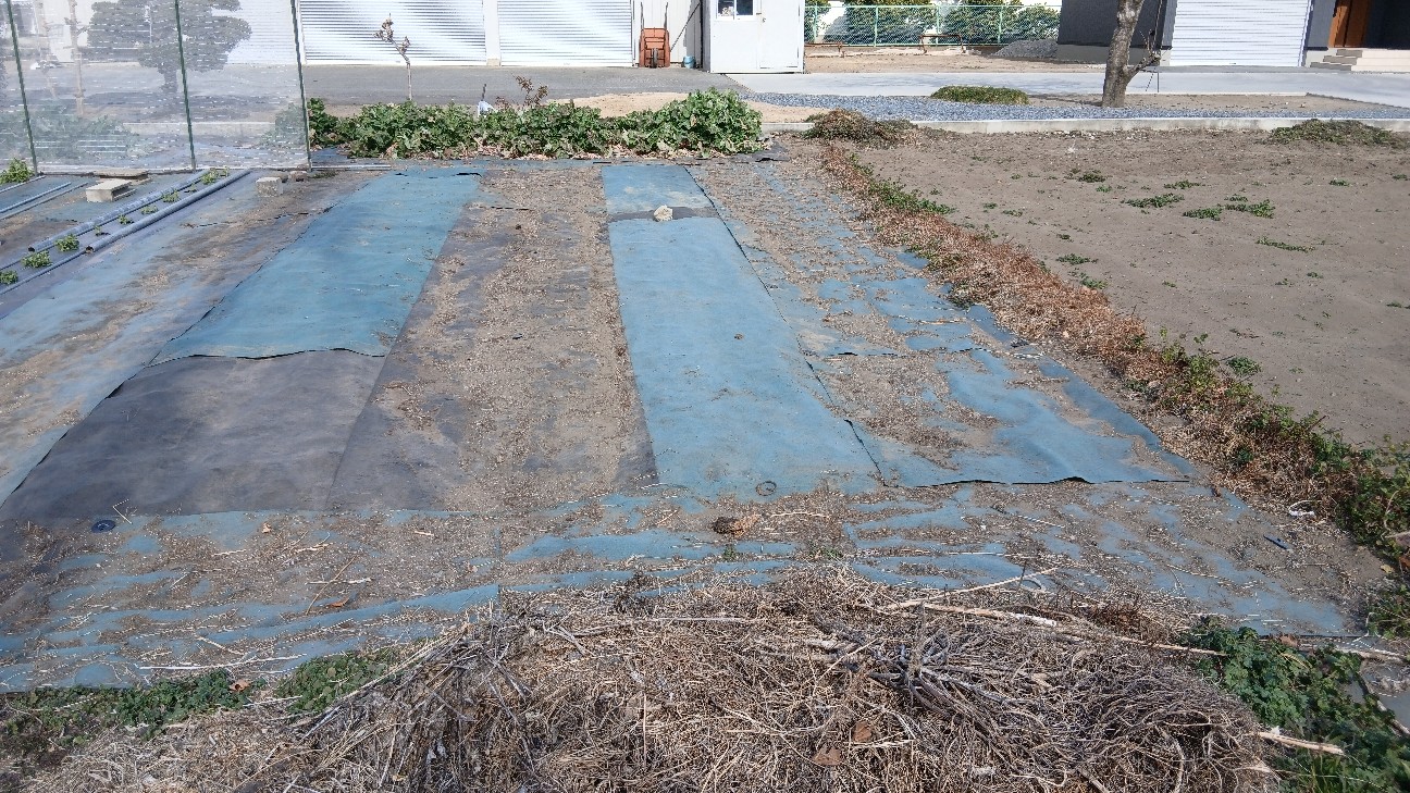 f:id:ttskhtss:20260125123335j:image f:id:ttskhtss:20260125123335j:image