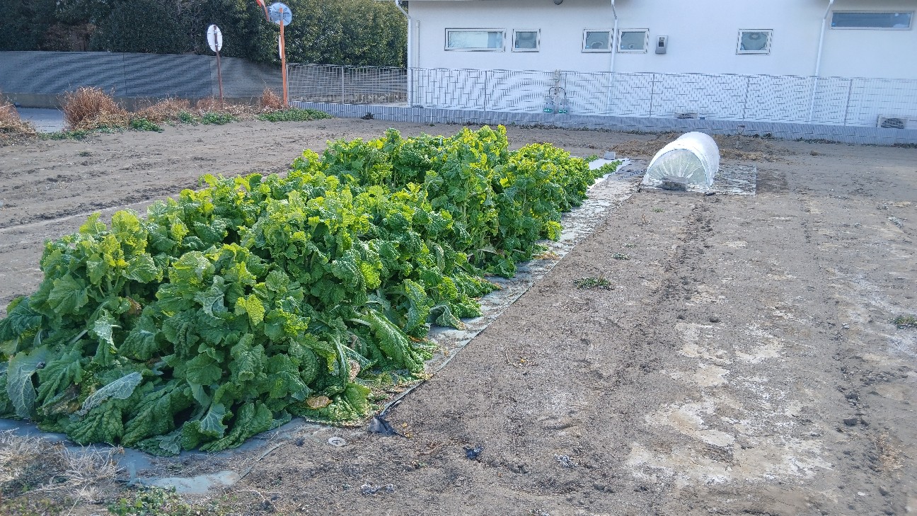 f:id:ttskhtss:20260125123559j:image f:id:ttskhtss:20260125123559j:image