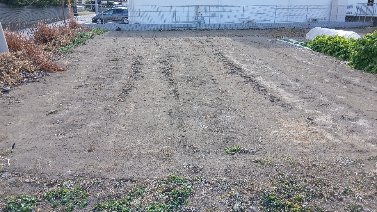 f:id:ttskhtss:20260125123643j:image f:id:ttskhtss:20260125123643j:image