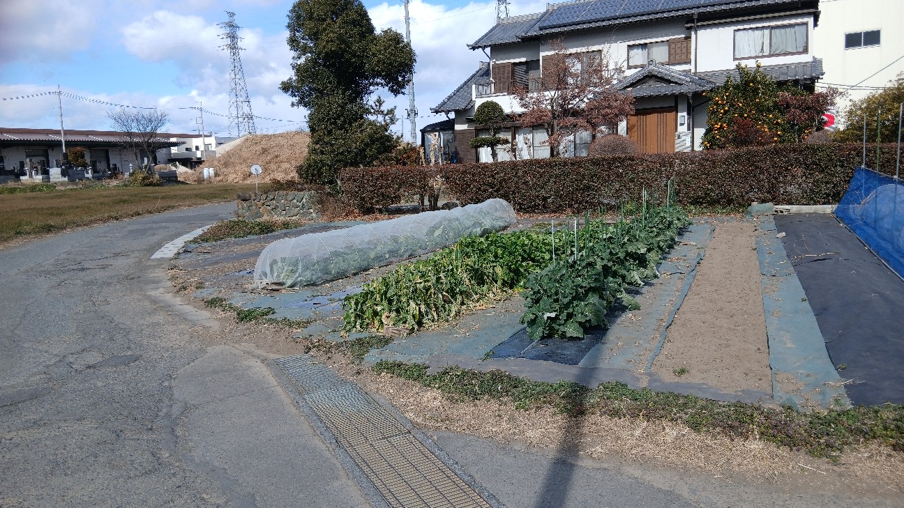 f:id:ttskhtss:20260125123740j:image f:id:ttskhtss:20260125123740j:image