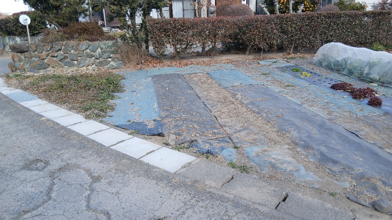 f:id:ttskhtss:20260125123838j:image f:id:ttskhtss:20260125123838j:image