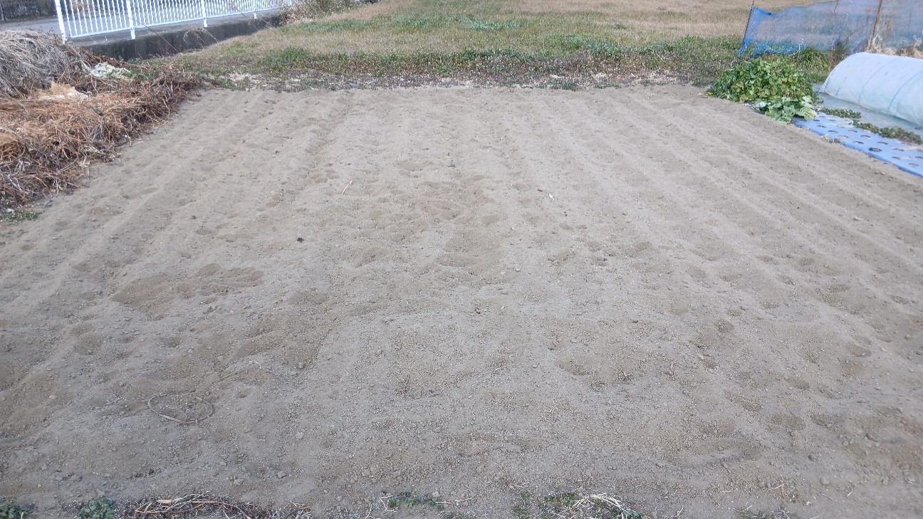 f:id:ttskhtss:20260125123933j:image f:id:ttskhtss:20260125123933j:image