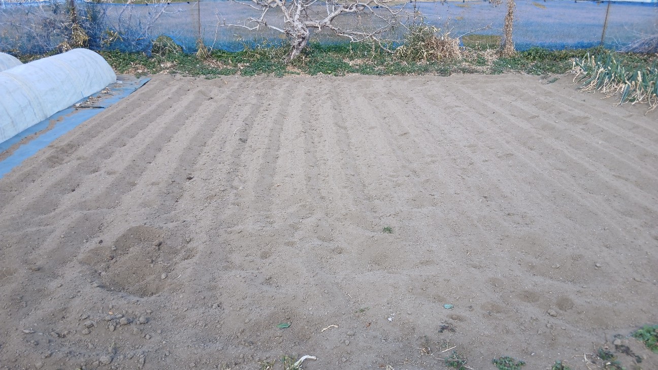 f:id:ttskhtss:20260125124007j:image f:id:ttskhtss:20260125124007j:image