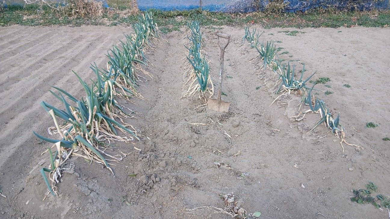 f:id:ttskhtss:20260125124014j:image f:id:ttskhtss:20260125124014j:image