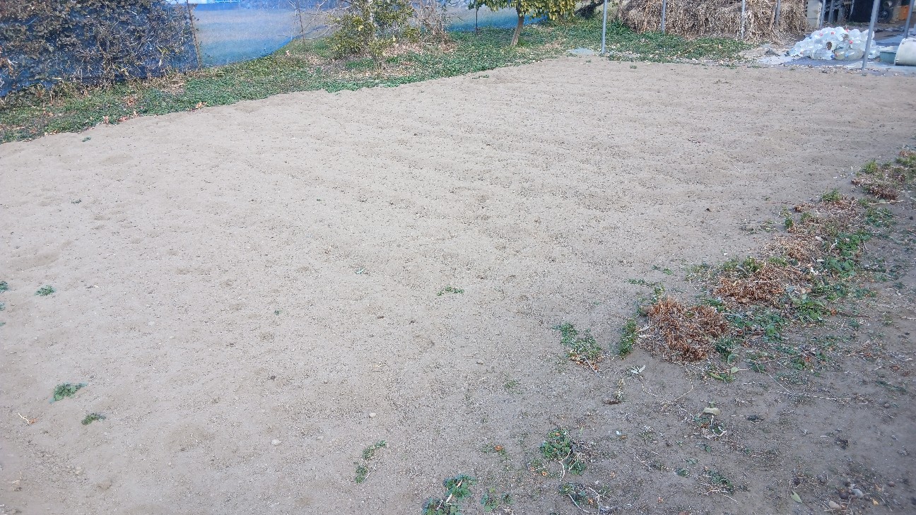 f:id:ttskhtss:20260125124022j:image f:id:ttskhtss:20260125124022j:image