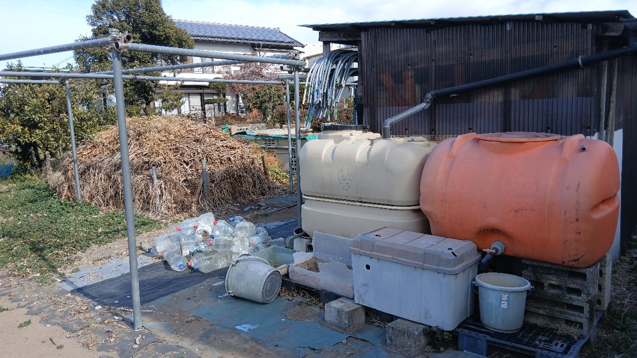 f:id:ttskhtss:20260125124030j:image f:id:ttskhtss:20260125124030j:image