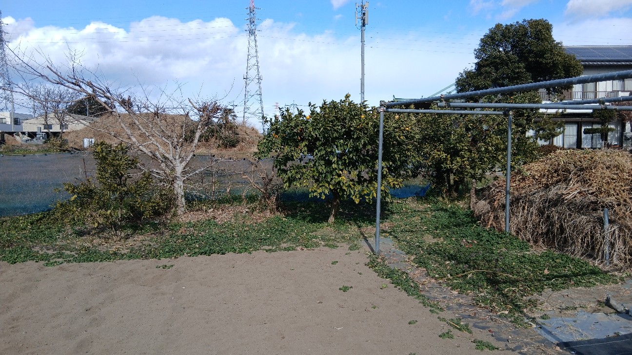 f:id:ttskhtss:20260125124037j:image f:id:ttskhtss:20260125124037j:image