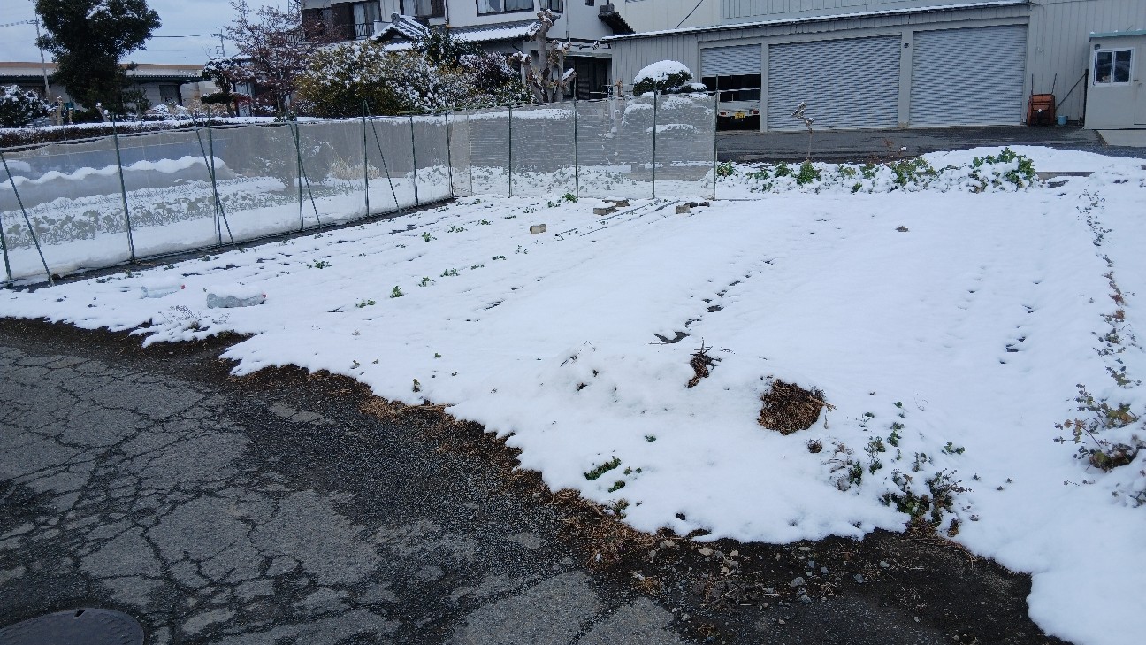 f:id:ttskhtss:20260208112605j:image