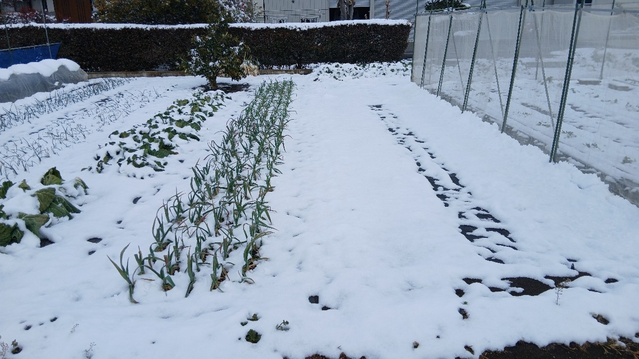 f:id:ttskhtss:20260208112606j:image