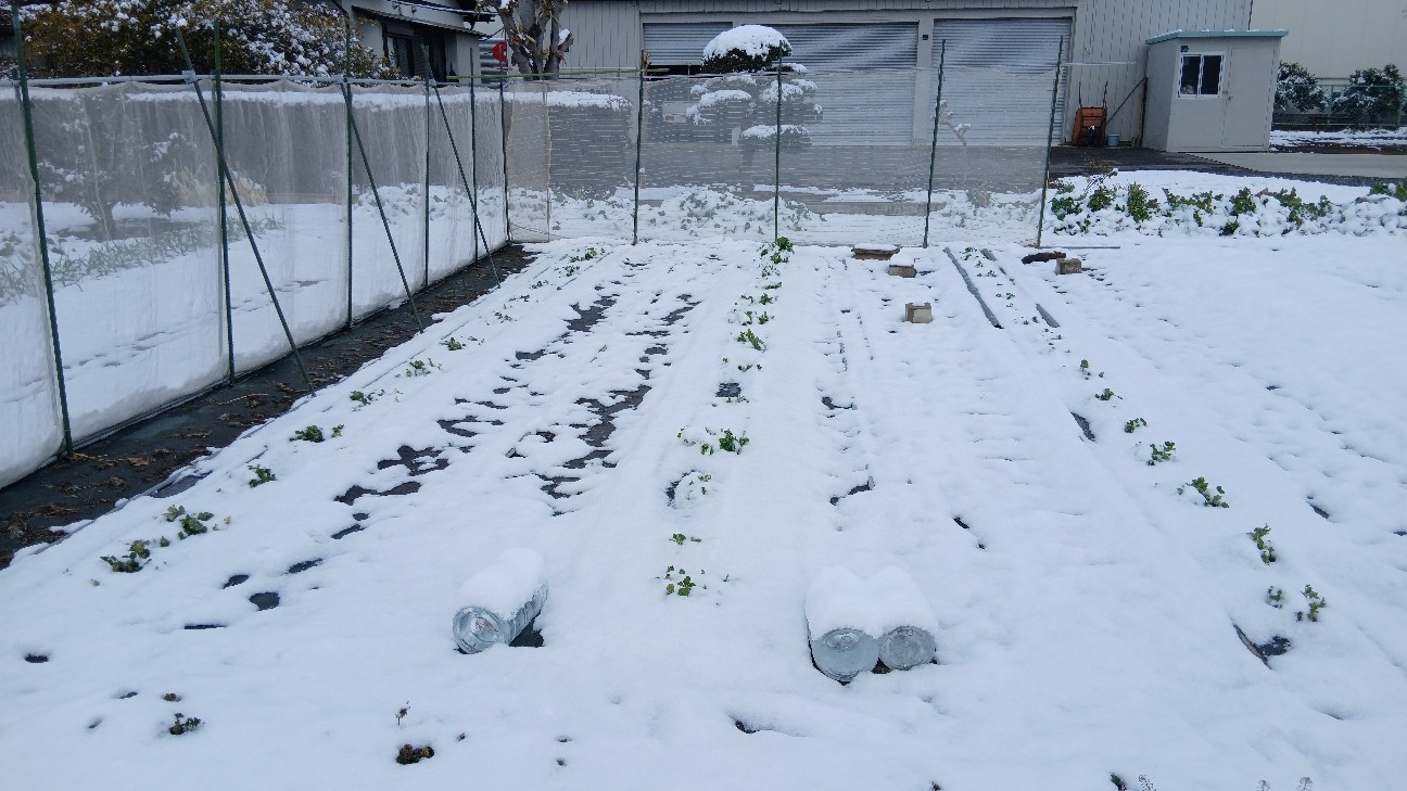 f:id:ttskhtss:20260208112609j:image