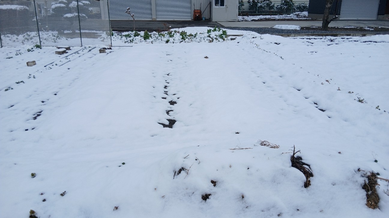 f:id:ttskhtss:20260208112610j:image