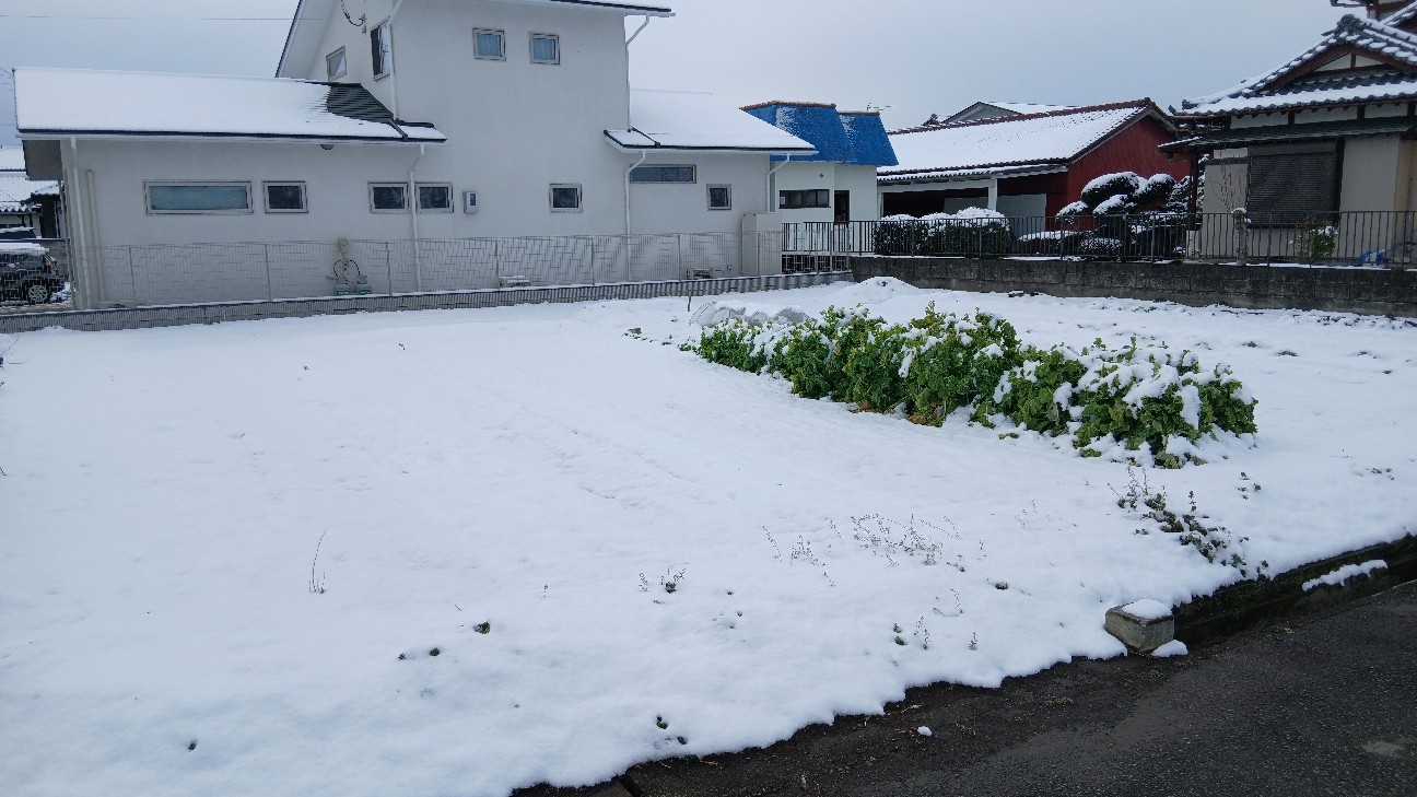 f:id:ttskhtss:20260208112614j:image