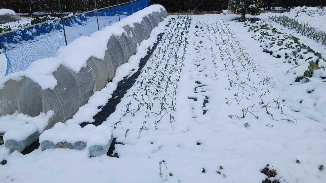 f:id:ttskhtss:20260208112617j:image