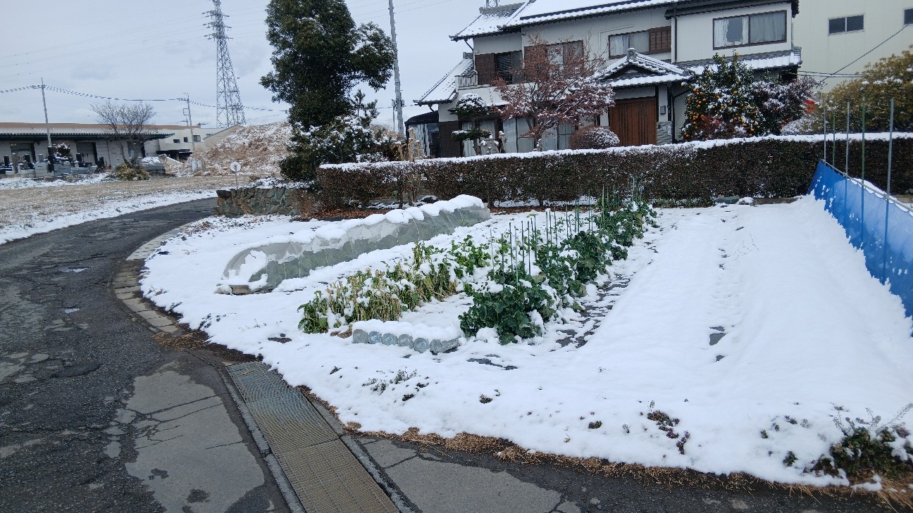 f:id:ttskhtss:20260208112618j:image