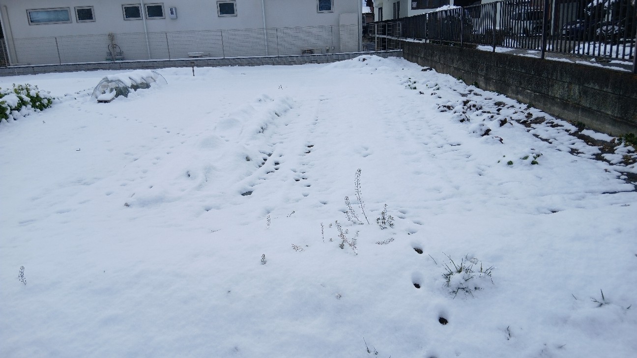 f:id:ttskhtss:20260208112621j:image