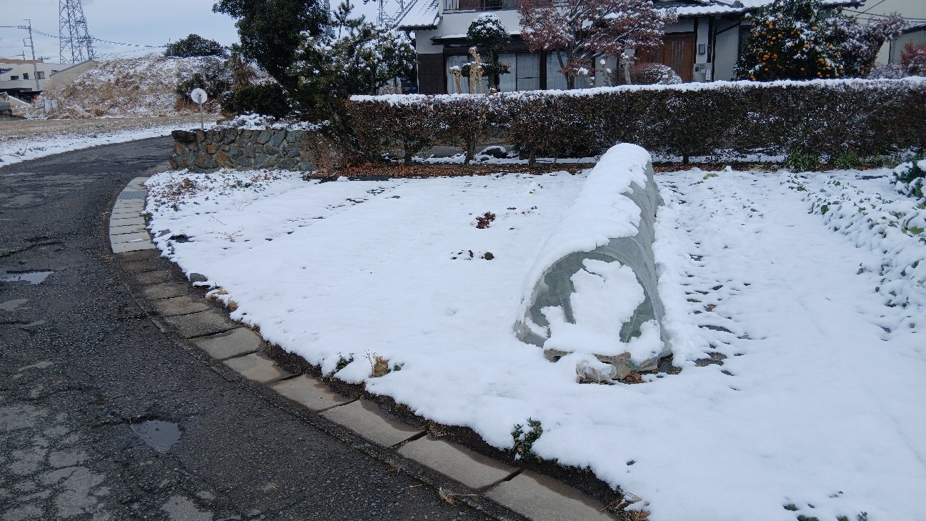 f:id:ttskhtss:20260208112649j:image