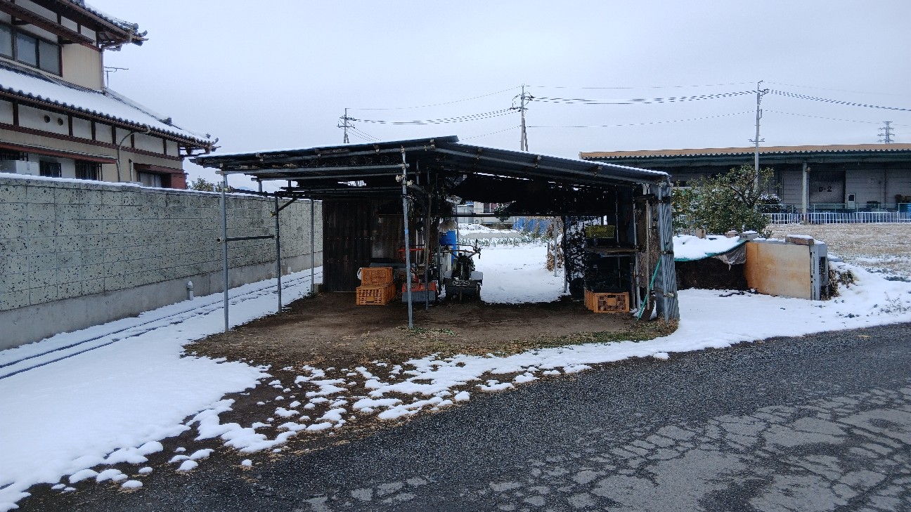 f:id:ttskhtss:20260208112655j:image