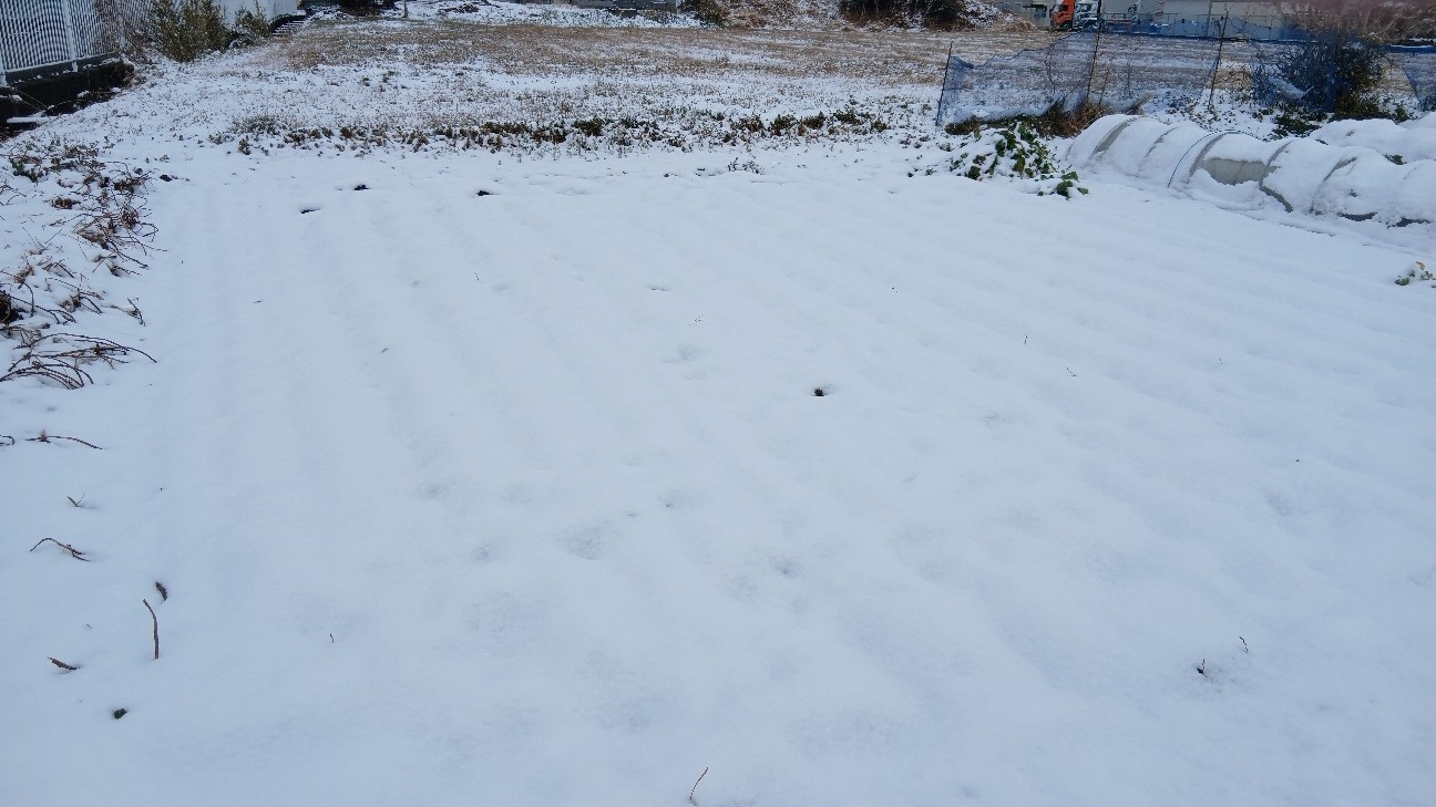 f:id:ttskhtss:20260208112658j:image