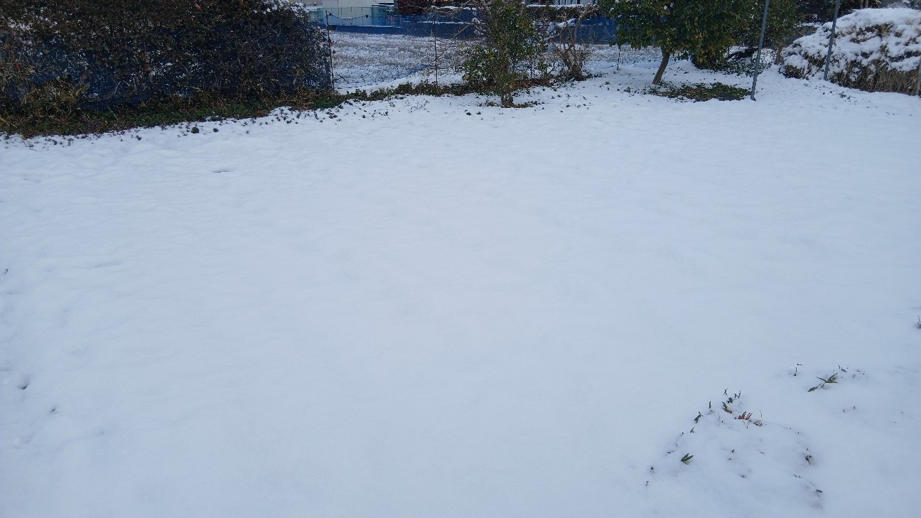 f:id:ttskhtss:20260208112703j:image