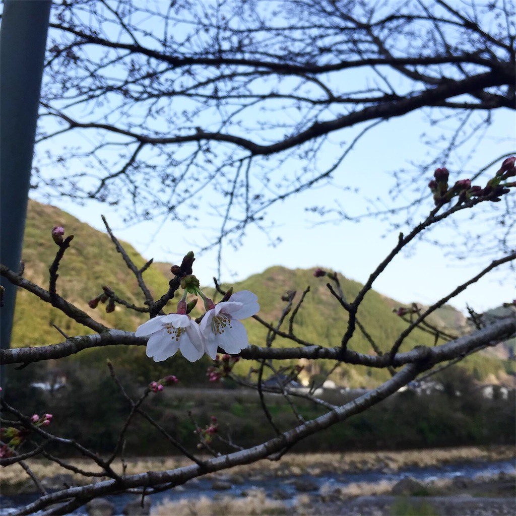 f:id:ttstile1014:20200323163415j:image