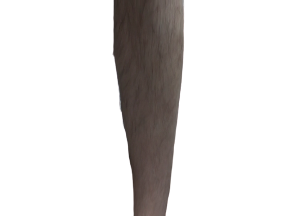 f:id:ttt0330:20200627153335p:plain