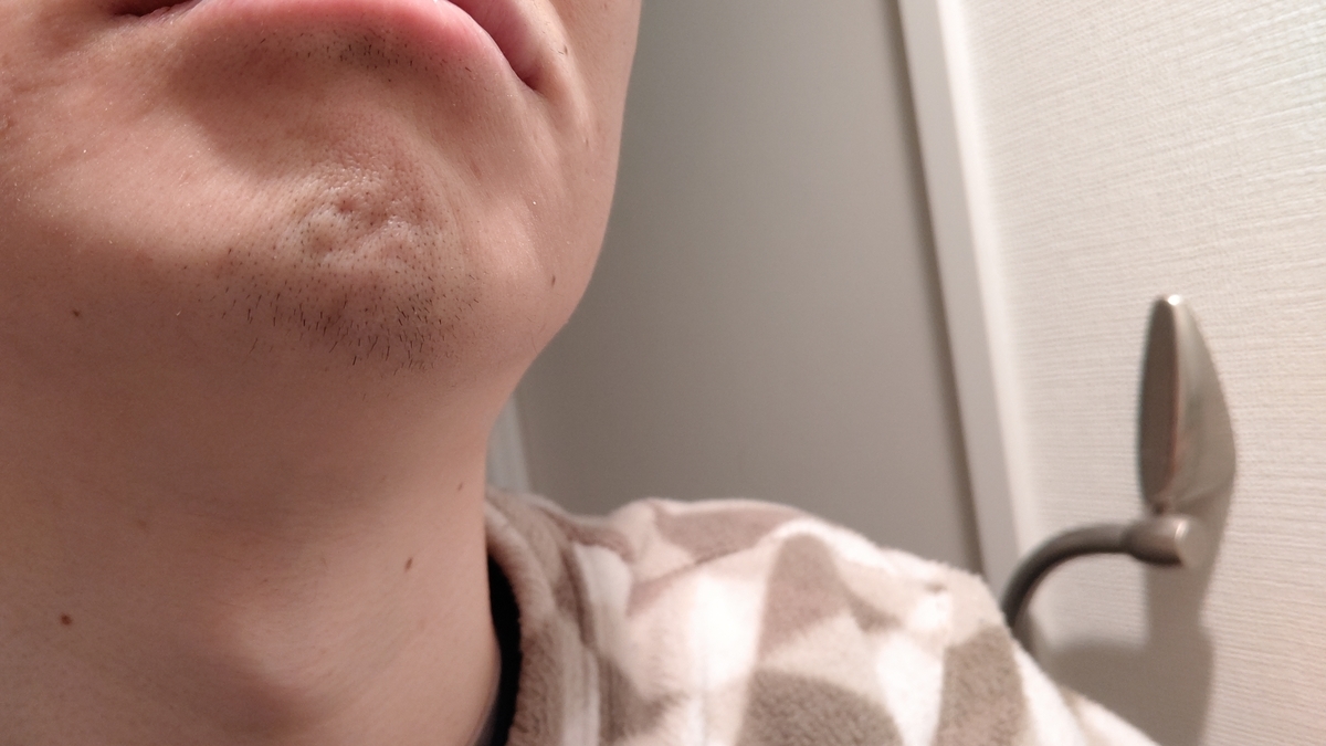 f:id:ttt0330:20210121085612j:plain