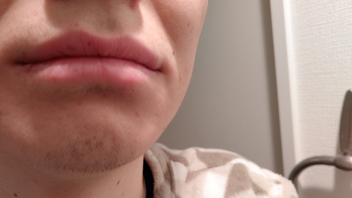 f:id:ttt0330:20210121085634j:plain