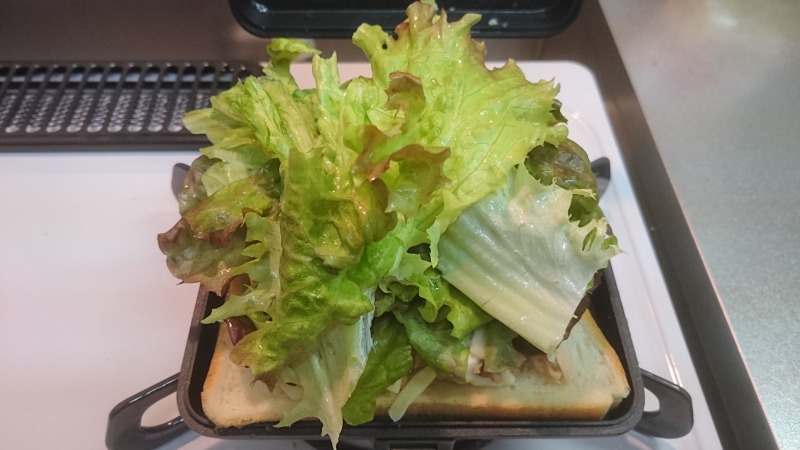 f:id:tttakashi:20180331221907j:plain
