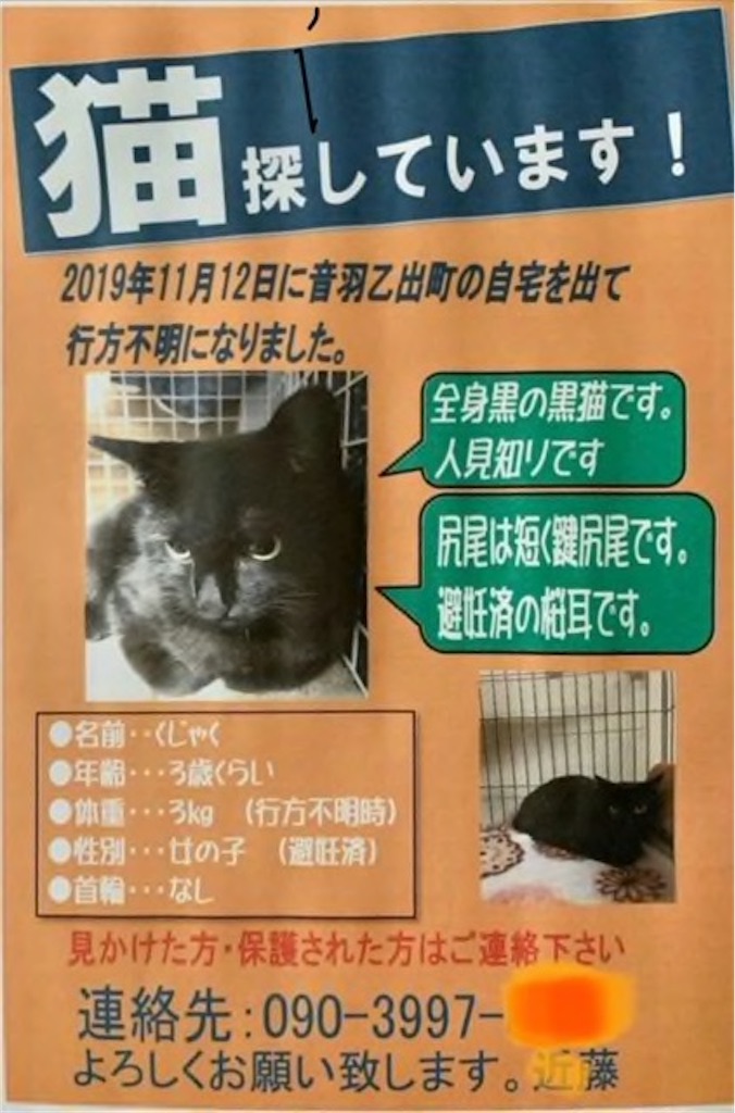 f:id:ttterry88:20250628071138j:image