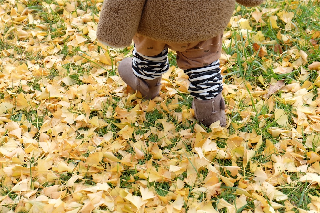 f:id:tttttf:20201108134011j:image