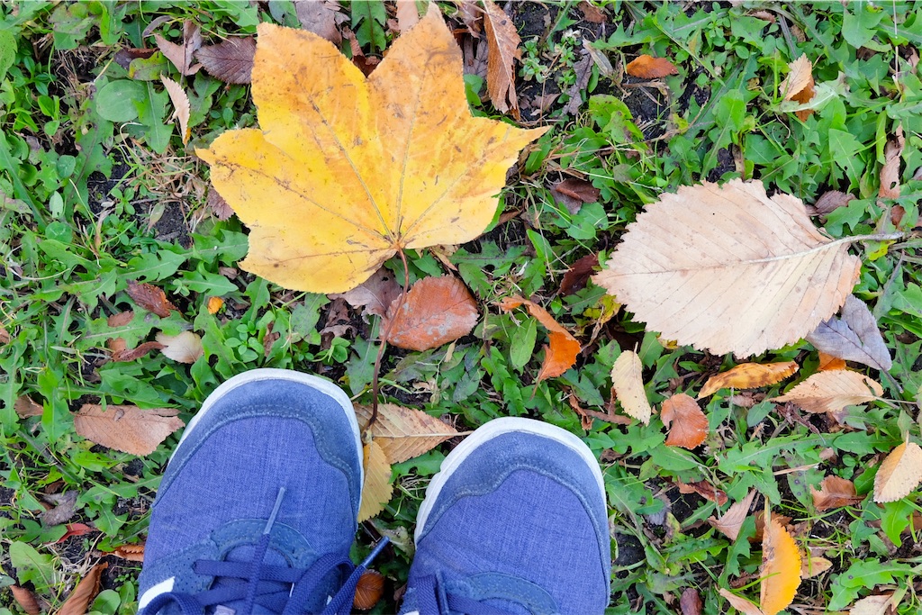 f:id:tttttf:20201205210814j:image