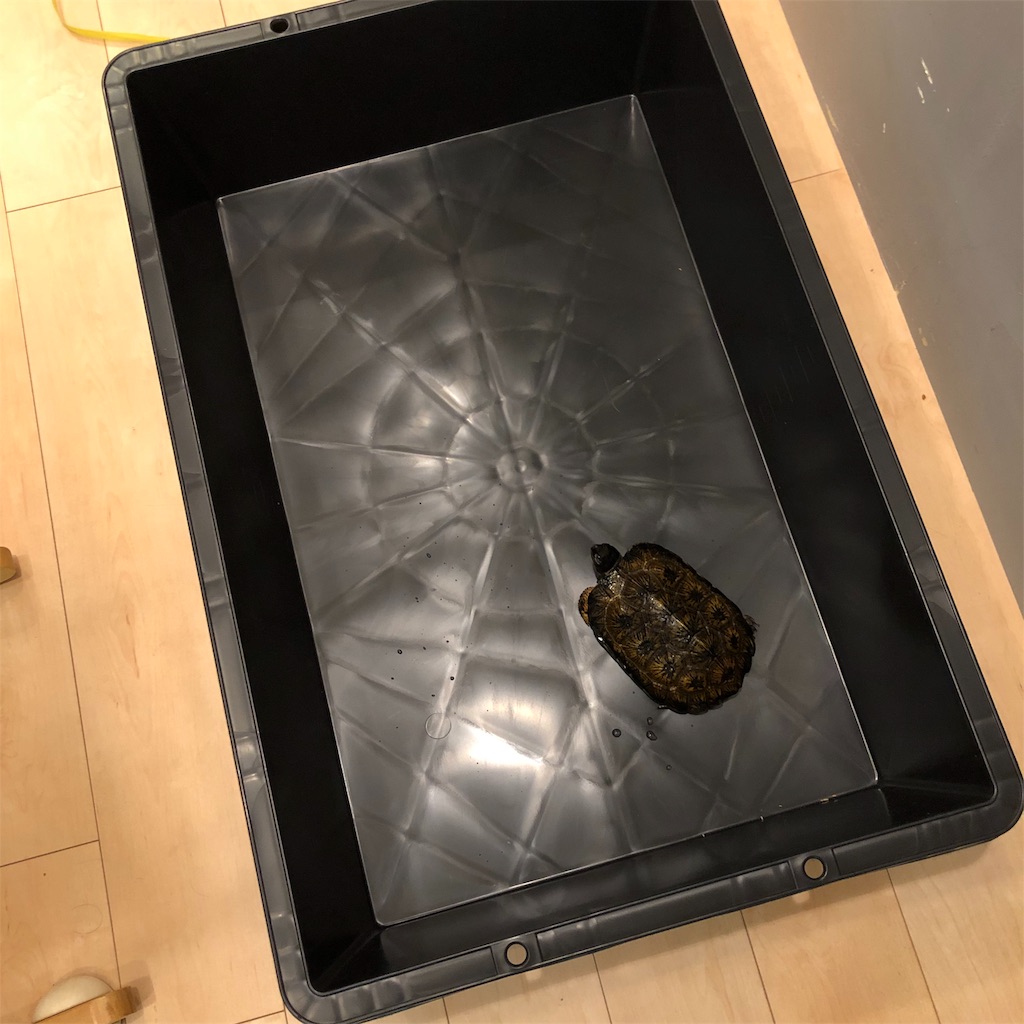 f:id:tttty:20210319172928j:image