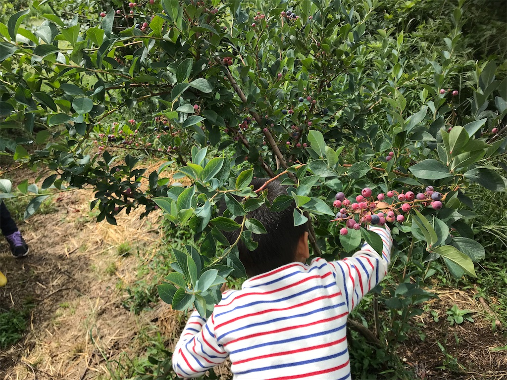 f:id:tty-kanzaki:20180903215518j:image