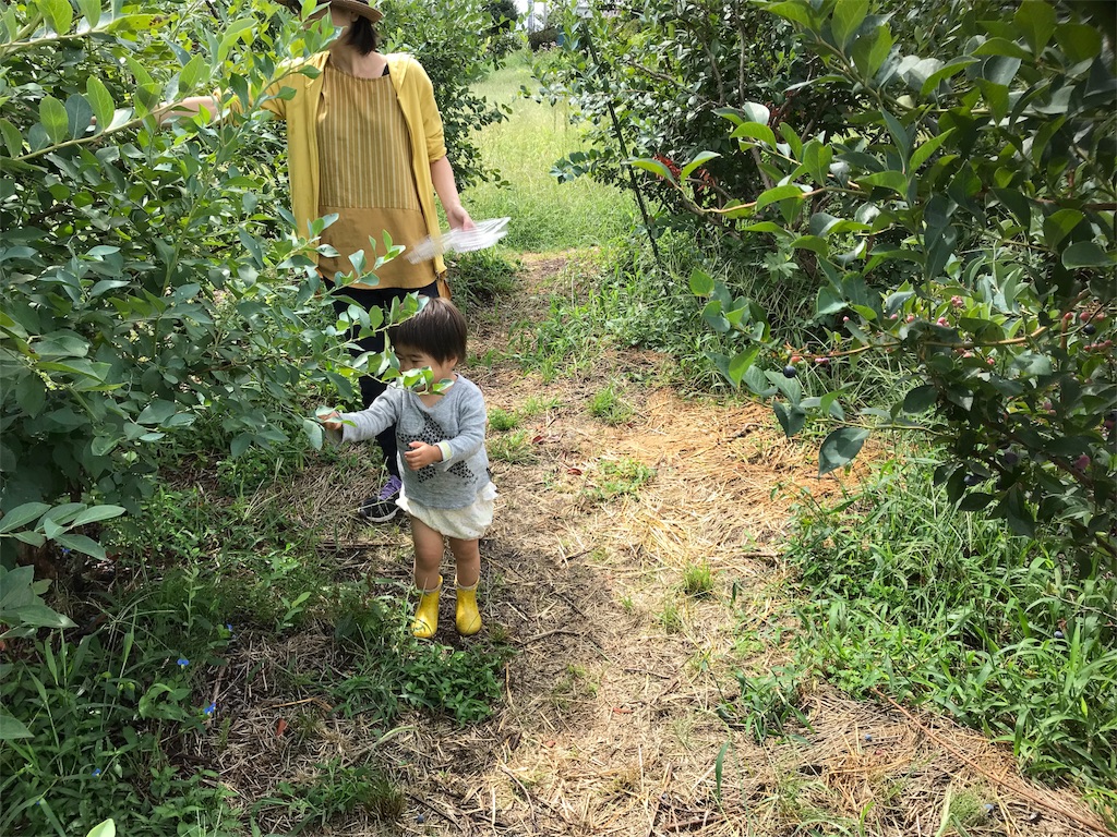 f:id:tty-kanzaki:20180903215537j:image